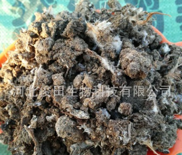 生物肥与饲料 锄禾日当午，畜牧渔业的绿色未来